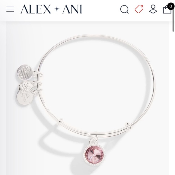 Alex&Ani Bangle Bracelet June Birthstone Amethyst - Picture 3 of 3